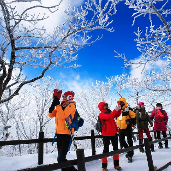 Hành trình chinh phục núi Deogyusan – Hòa mình vào thiên nhiên bốn mùa Hàn Quốc

Lịch trình tour (1 ngày)

07:00 – Tập trung và di chuyển đến Deogyusan
09:30 – Bắt đầu leo núi từ trạm cáp treo Deogyusan
10:00 – Đi cáp treo lên khu vực Seolcheonbong, ngắm toàn cảnh núi rừng
10:30 – 12:30 – Leo núi và tham quan các điểm nổi bật như Hyangjeokbong
12:30 – Nghỉ trưa, ăn trưa nhẹ và chụp ảnh lưu niệm
14:00 – Xuống núi, tự do tham quan và mua quà lưu niệm
16:30 – Di chuyển về điểm xuất phát
19:00 – Kết thúc tour

* Lưu ý khi tham gia tour

Chuẩn bị giày leo núi, quần áo giữ ấm (đặc biệt vào mùa đông)

Mang theo nước uống và đồ ăn nhẹ

Tuân thủ hướng dẫn an toàn và bảo vệ môi trường