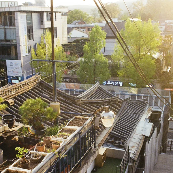 Trải nghiệm Làng cổ Hanok Bukchon
