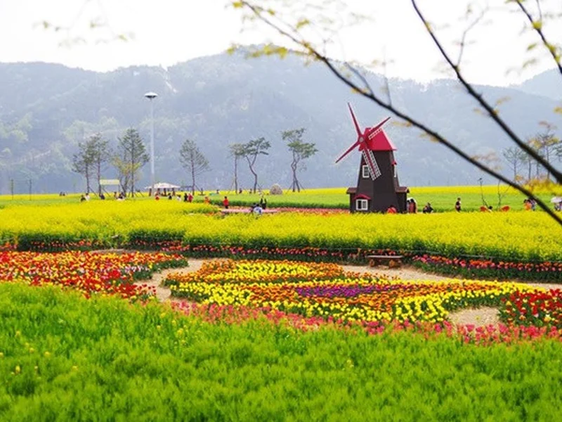 Jeju Healing: Trị Liệu Tâm Hồn & Thước Phim Điện Ảnh
