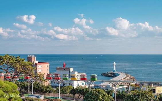 24 Giờ Ở Busan: Rời Xa Đám Đông, Sống Chậm Lại Như Người Bản Địa !