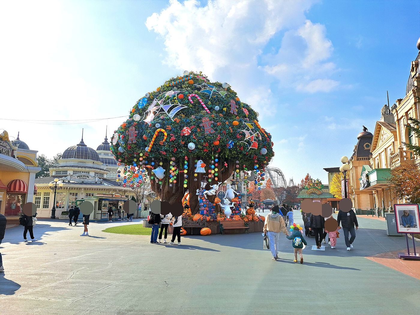 Everland: đi từ Seoul thế nào, giá vé theo ngày, tàu lượn T Express và khu gấu trúc