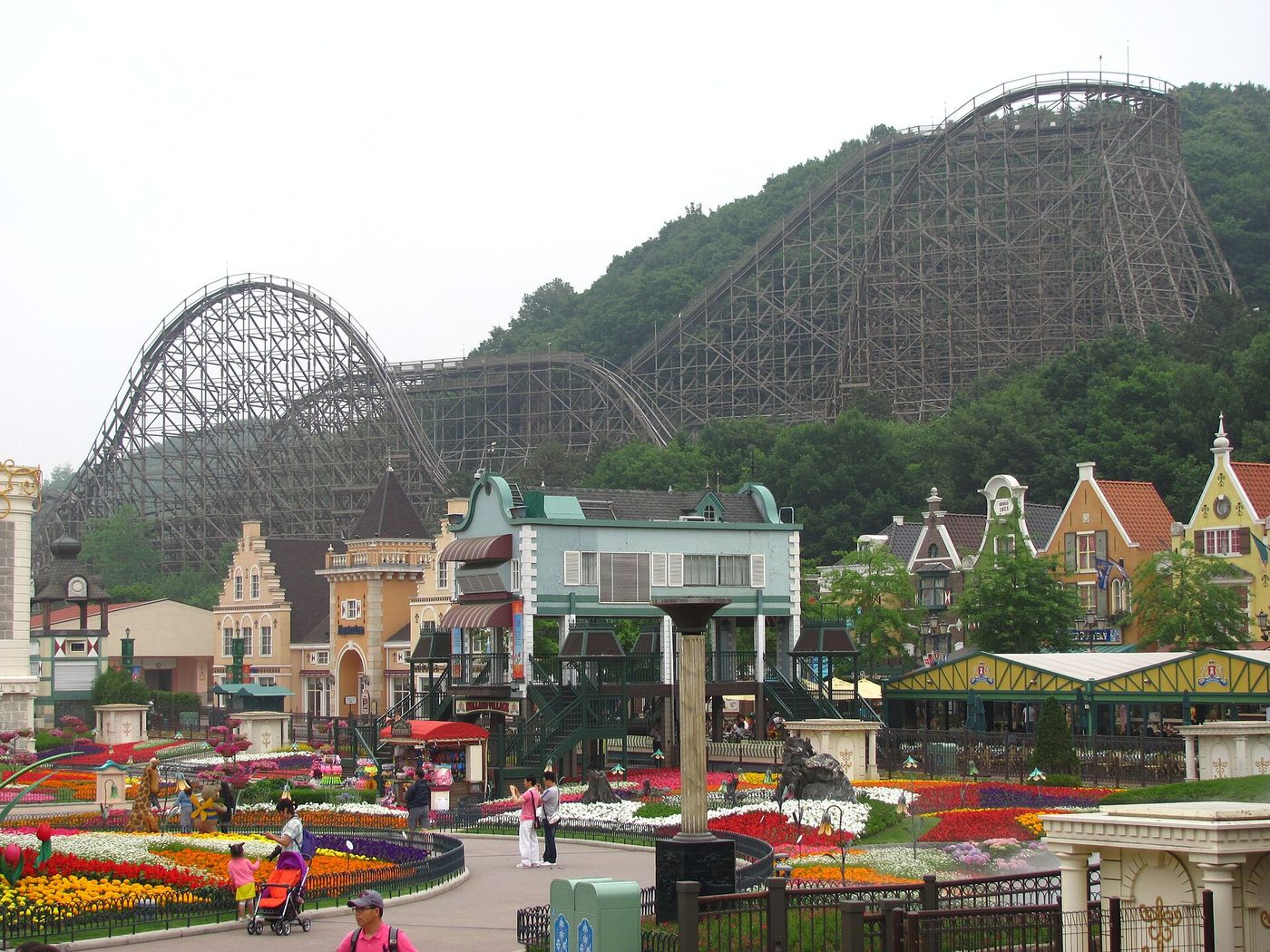 Đường ray tàu lượn gỗ T Express phía sau khu vườn ở Everland