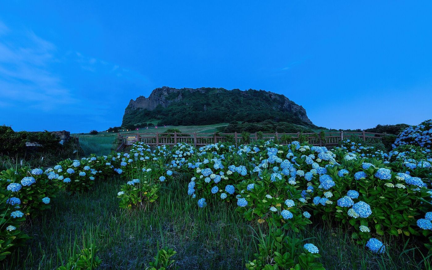 Kinh nghiệm du lịch Jeju tự túc: visa, đi lại và lịch trình 4 ngày