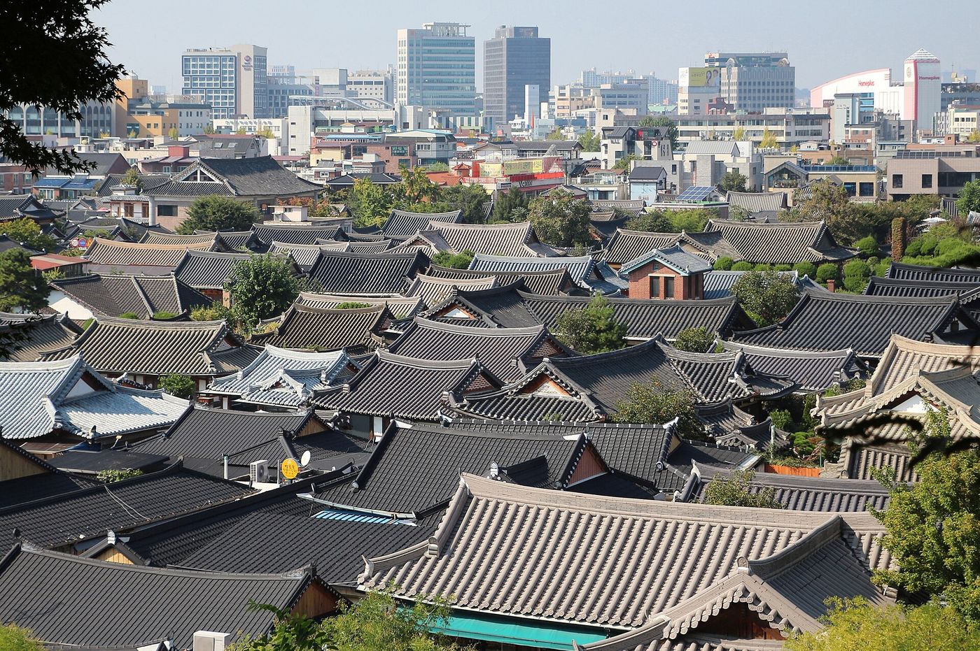 Làng hanok Jeonju mùa thu: ngân hạnh cổ thụ, hanbok và quê hương của bibimbap