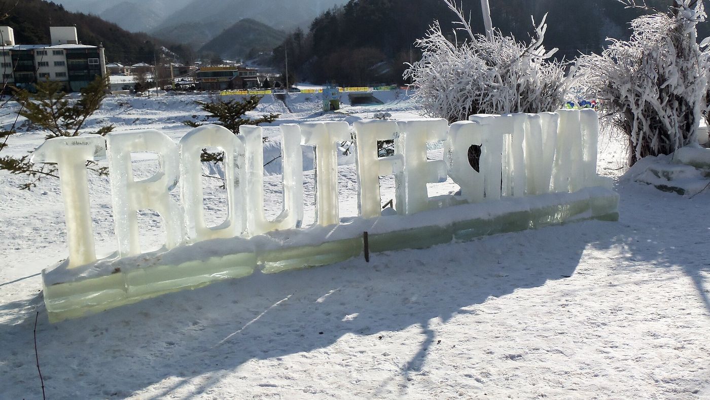 Lễ hội mùa đông Hàn Quốc: câu cá trên băng Hwacheon, cá hồi Pyeongchang và lễ hội tuyết