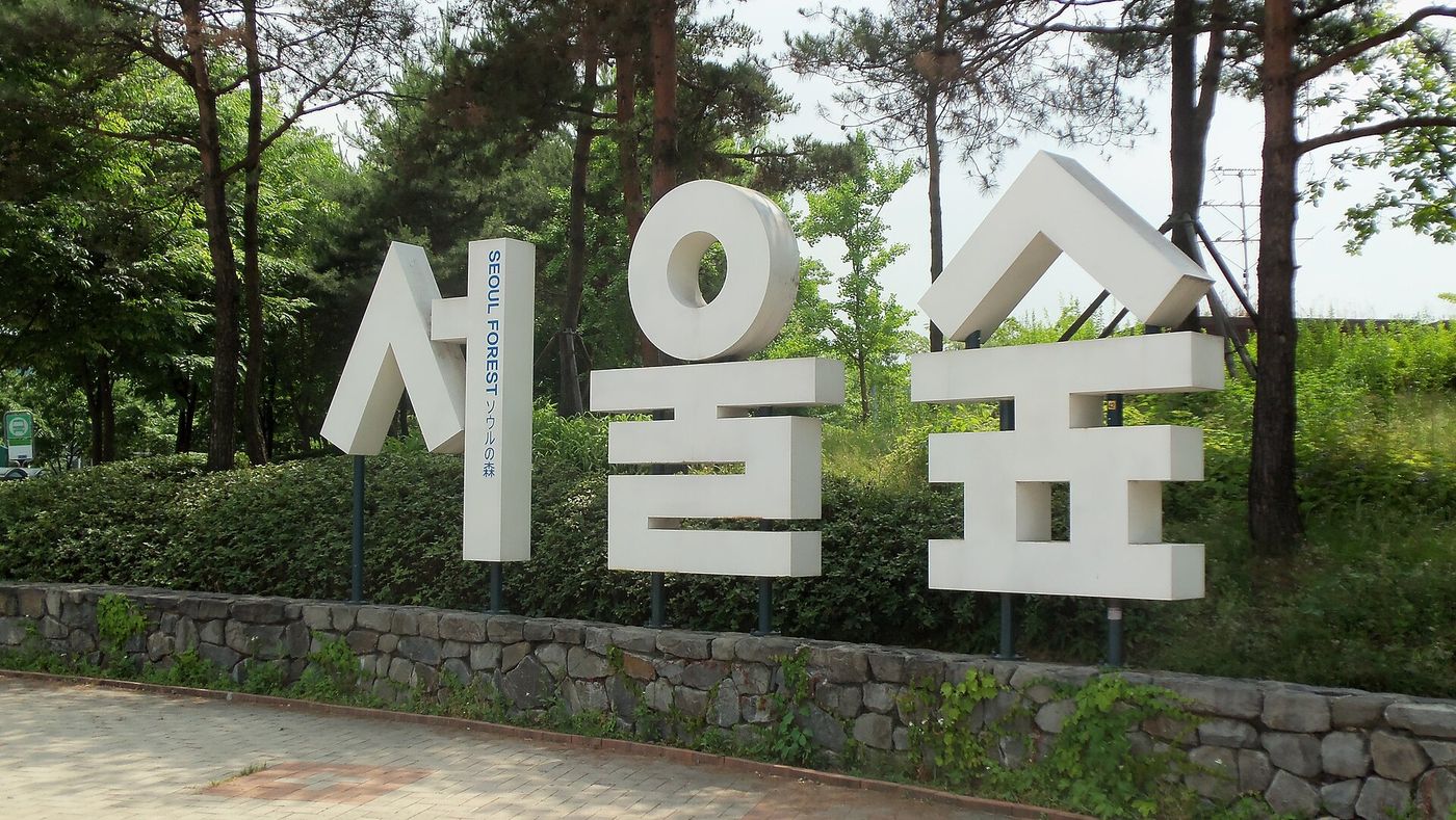 Seongsu-dong và Rừng Seoul (Seoul Forest): khu phố nhà xưởng thành quán cà phê, cửa hàng pop-up và công viên có hươu