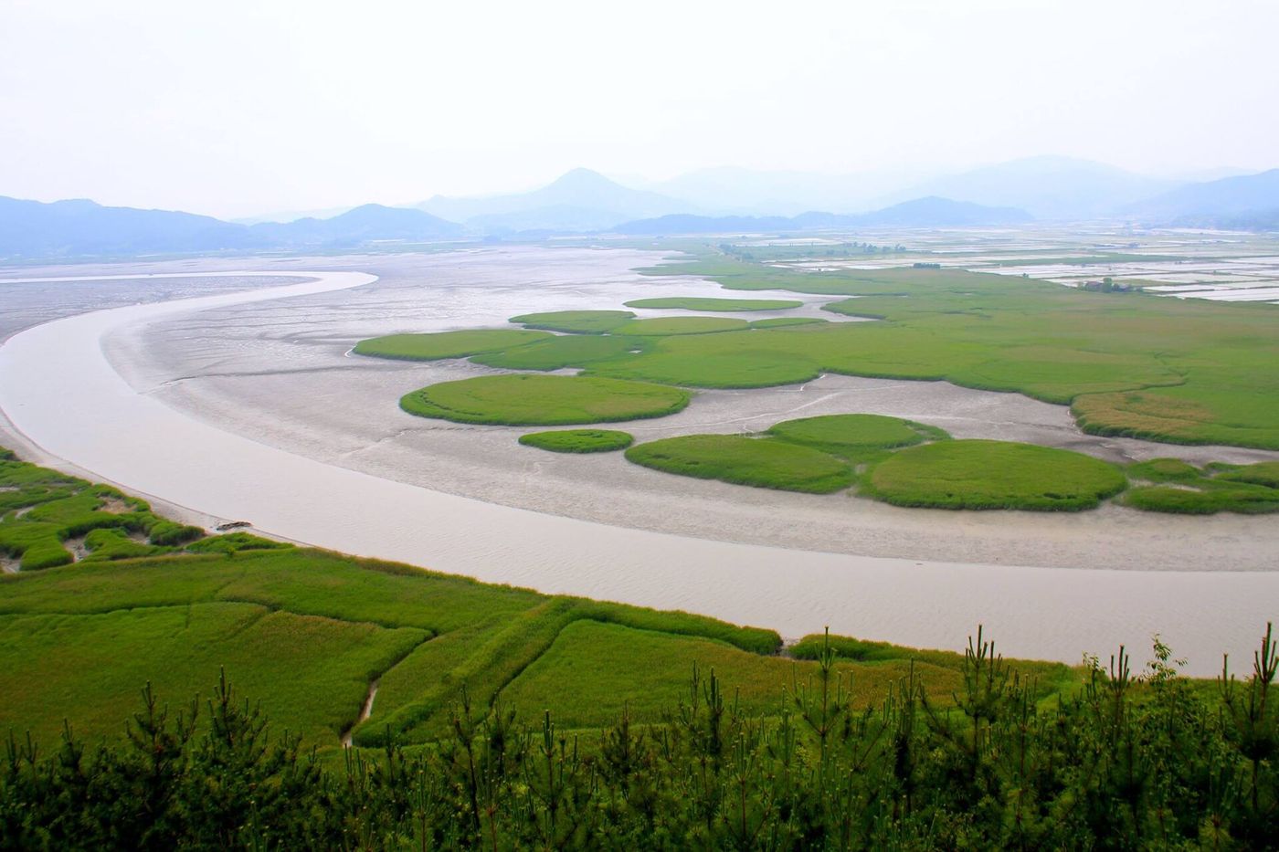 Dòng nước uốn hình chữ S ở vùng đất ngập nước vịnh Suncheon