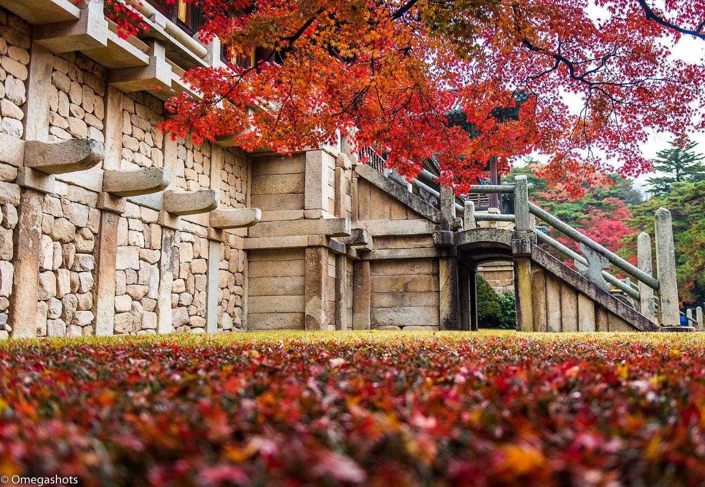 Gyeongju mùa thu: 2 ngày ở cố đô nghìn năm của Hàn Quốc