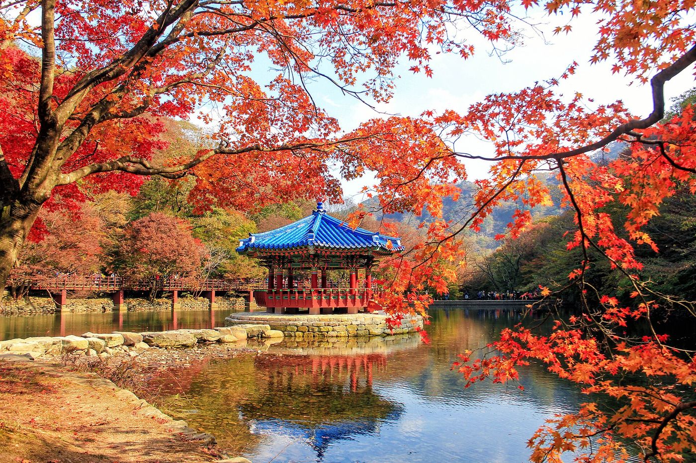 Naejangsan mùa lá đỏ: kinh nghiệm đi từ Seoul trong một ngày
